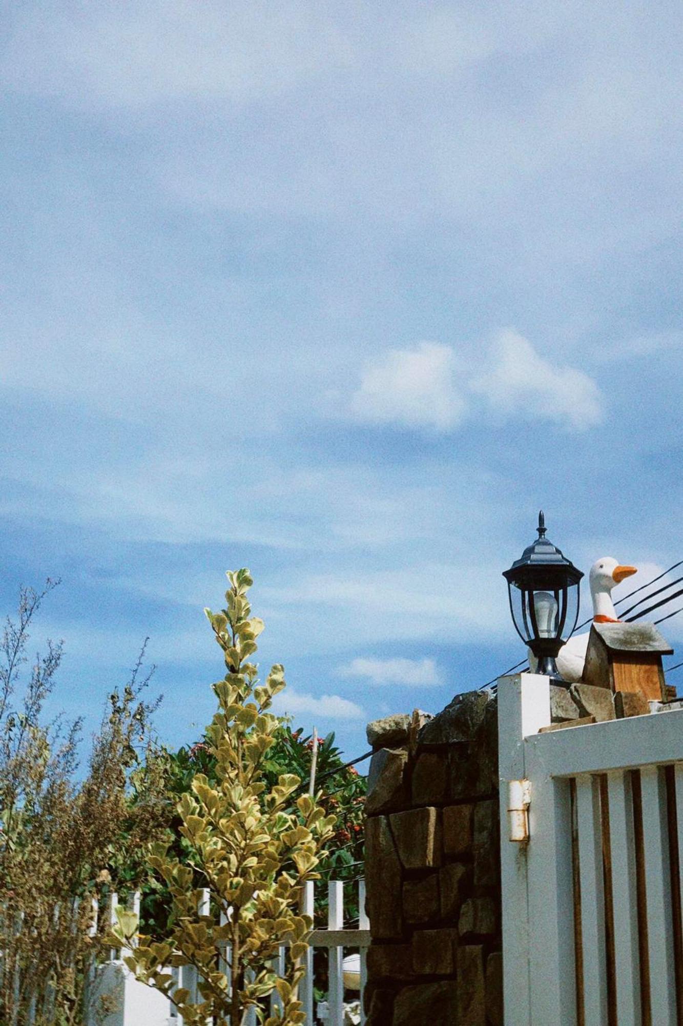 Chai Nho Homestay Da Lat Esterno foto